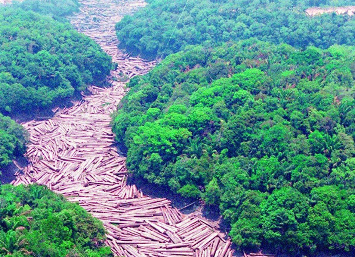 O Inpe comparou o desmatamento da Amazônia em dezembro de 2019 com o mesmo mês do ano anterior