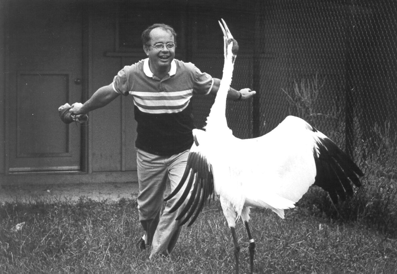 Canadense George W Archibald é exemplo na conservação dos grous-americanos