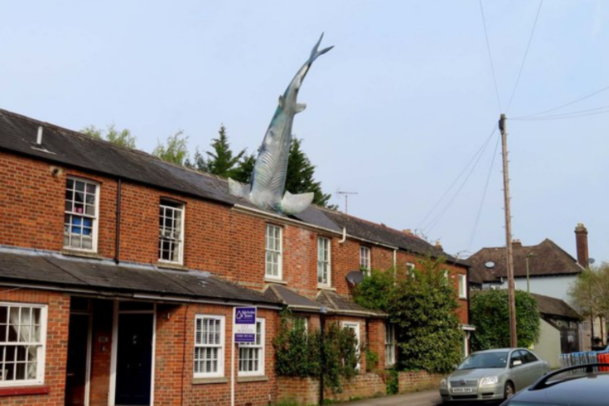 Conhecida como Shark House, imóvel está para ser alugado em Oxford, na Inglaterra