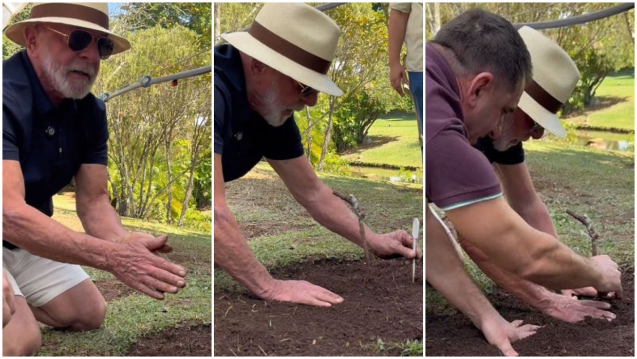 Lula mandou recado a Trump enquanto plantava no jardim