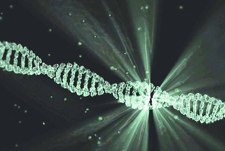 dna