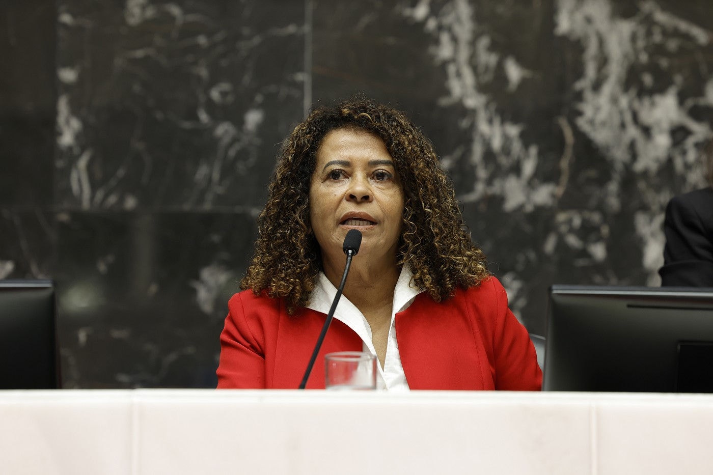 Leninha é candidata apoiada pela corrente CNB, ao PT de Minas Gerais