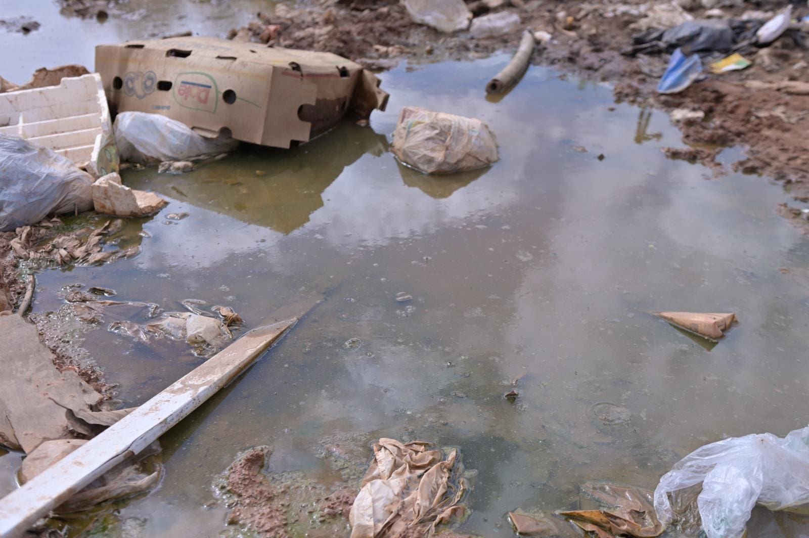 Água empoçada em lote cheio de lixo em BH pode ser foco para criação do mosquito