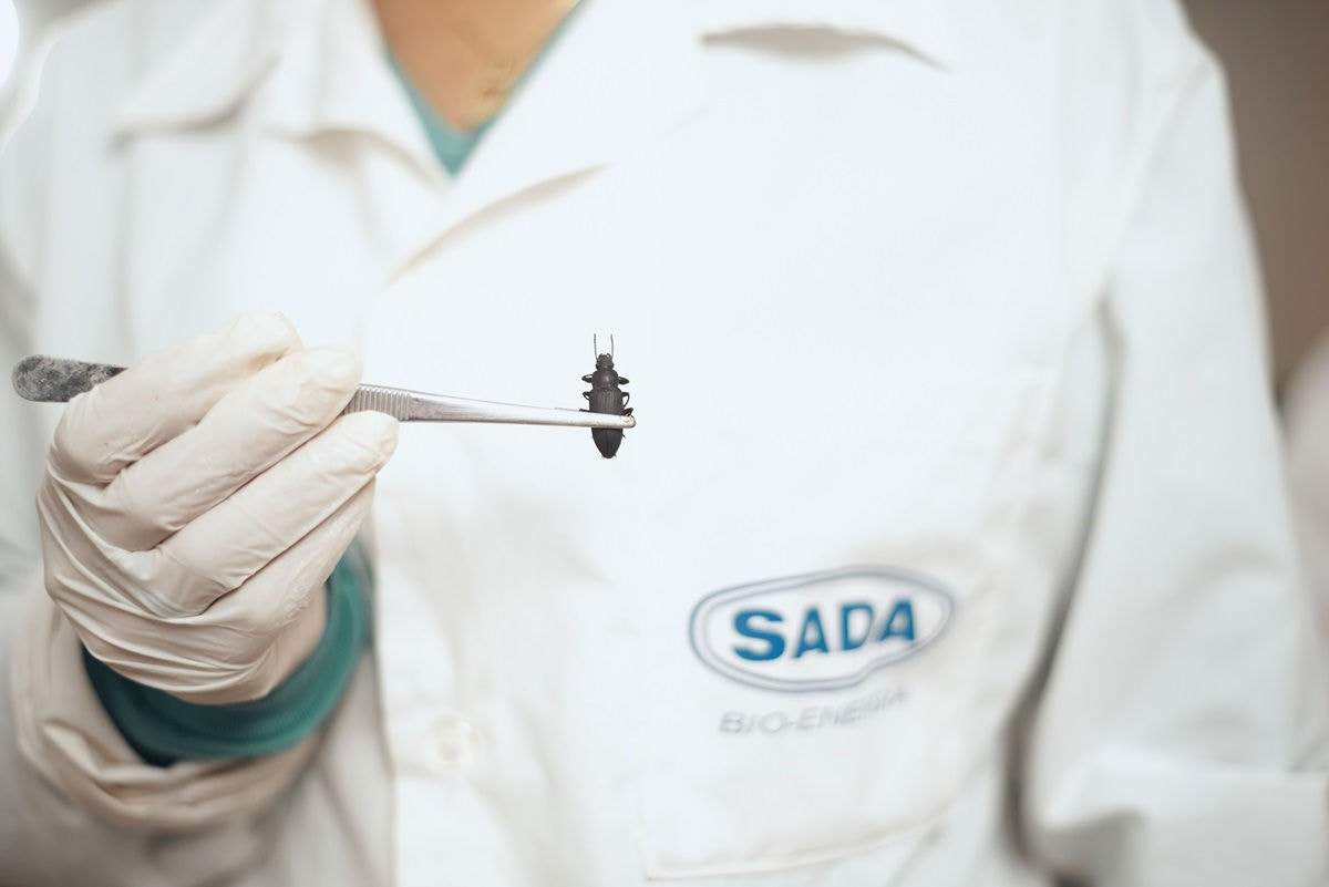 Grupo SADA fortalece compromisso ambiental com produção de controle biológico em Minas Gerais
