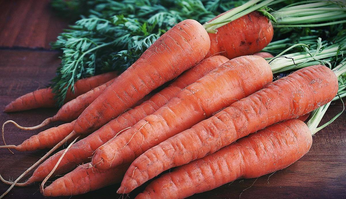 Cenouras foram o produto de hortifruti com maior aumento nos últimos dois meses