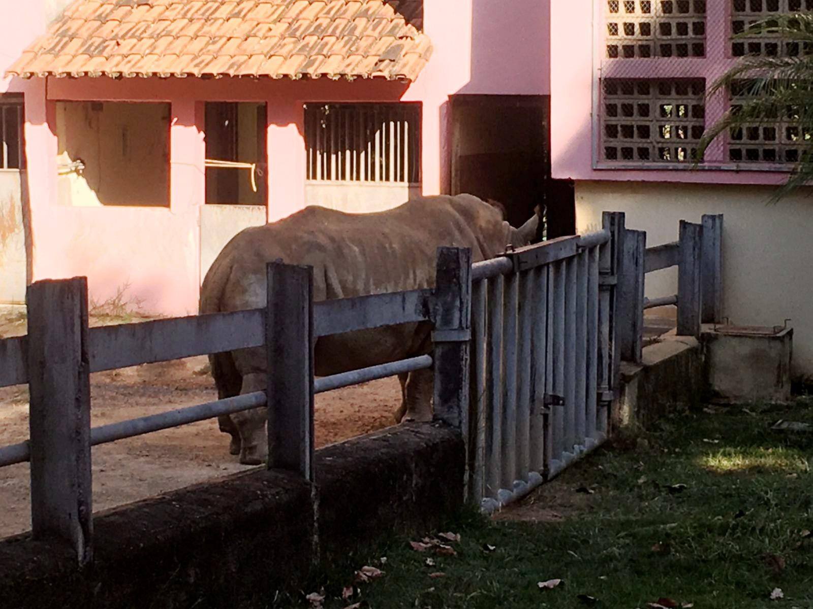 Zoológico de BH