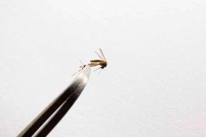 Diagnóstico dengue