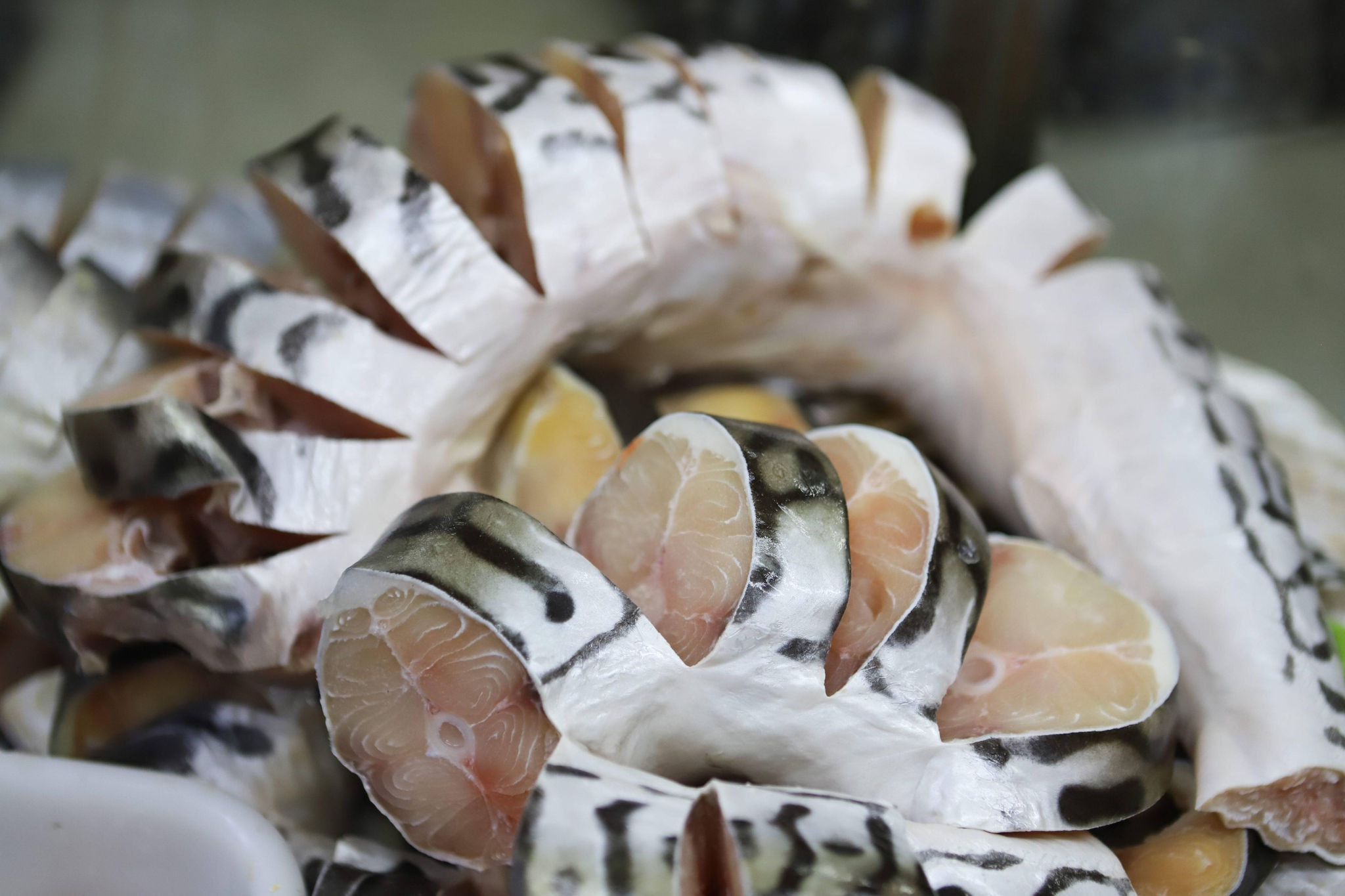 Pescados ficam mais caros na Quaresma