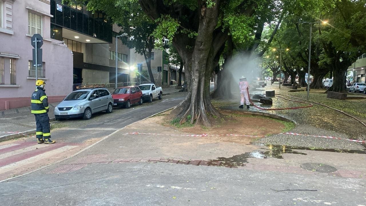 Enxame de abelhas ataca bloco de Carnaval em BH