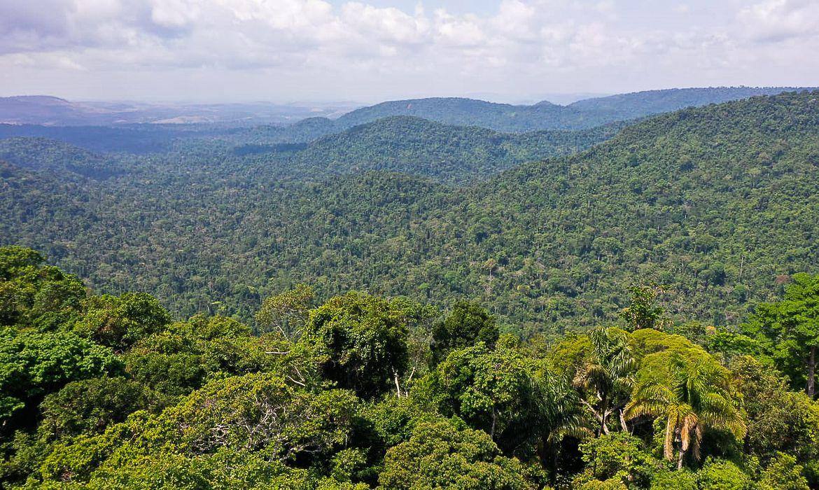 Amazônia