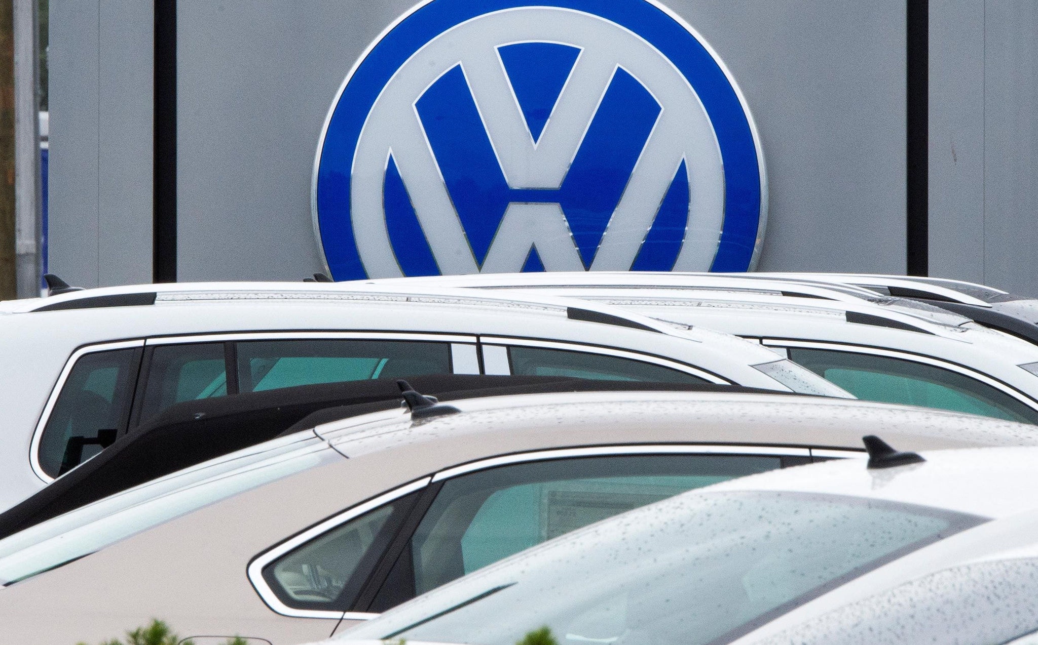 Volkswagen Volkswagen