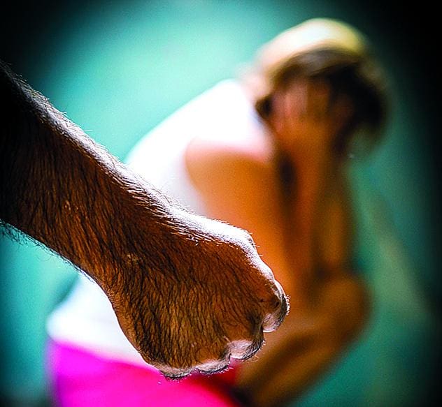 Violência contra a mulher