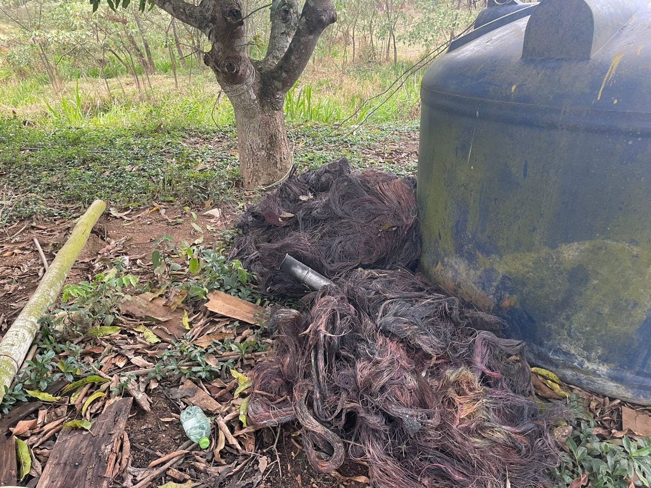 Fios eram furtados em diferentes pontos da cidade e encaminhados à propriedade rural