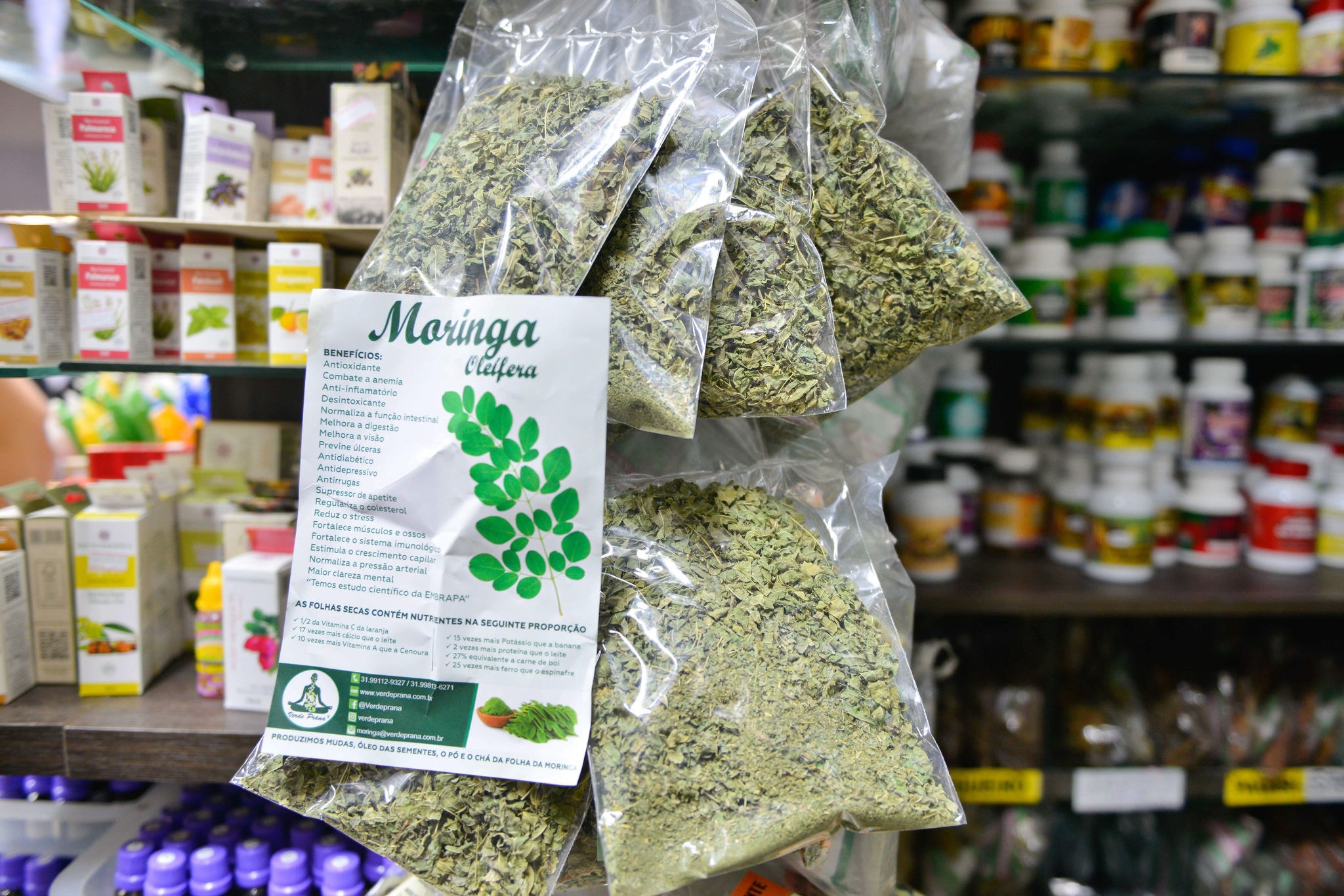 Moringa é vendida na internet, em lojas de homeopatia e no Mercado Central