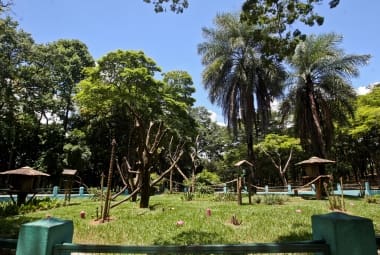 Cidades - Do dia - Belo Horizonte MGZoologico da capital comemora 55 anos e faz acao de enriquecimento ambiental dando barras de gelo com frutas para  alguns animais FOTOS: MARIELA GUIMARAES / O TEMPO 24012013