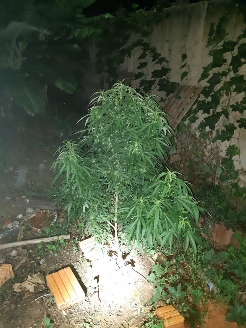 Droga3jpg