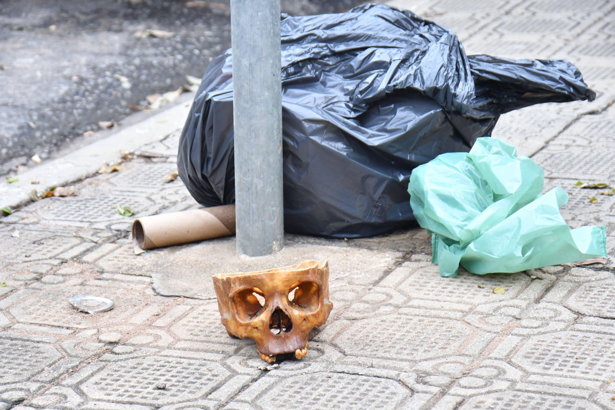 Crânio humano foi encontrado em calçada na cidade de Governador Valadares