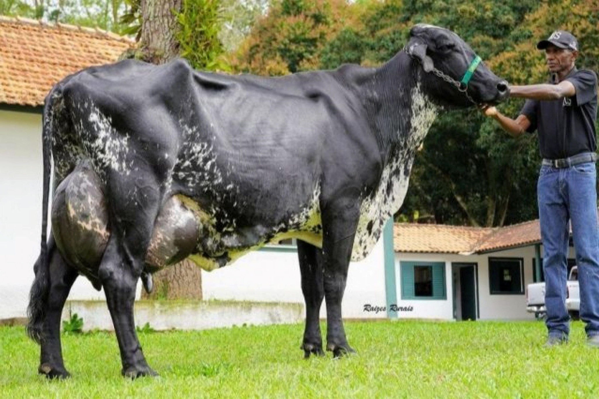 Raízes Rurais/Divulgação