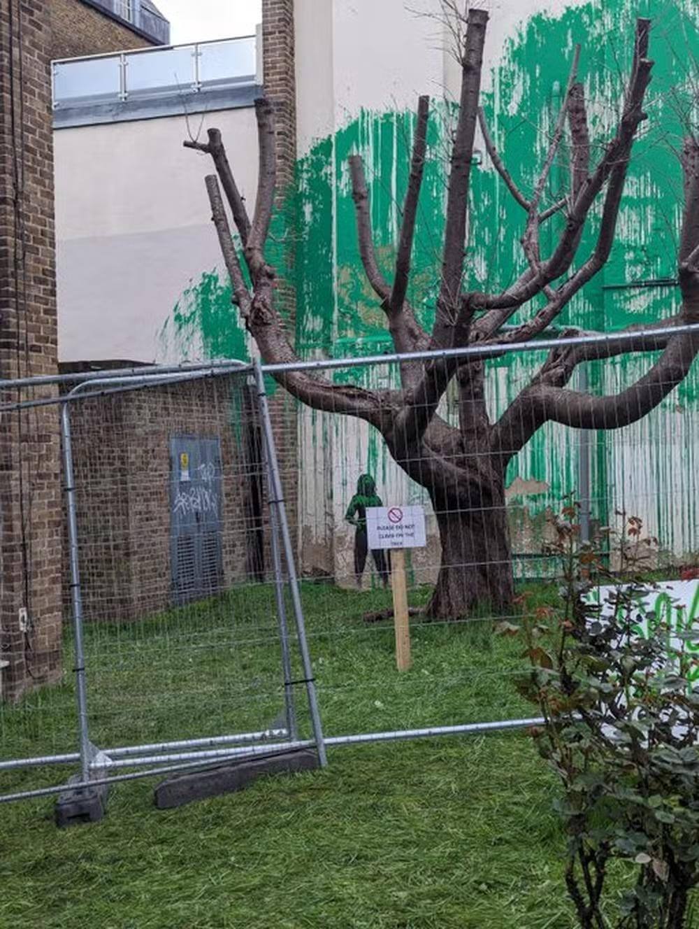 Banksy tem seu 'mural da árvore' vandalizado com tinta branca em Londres