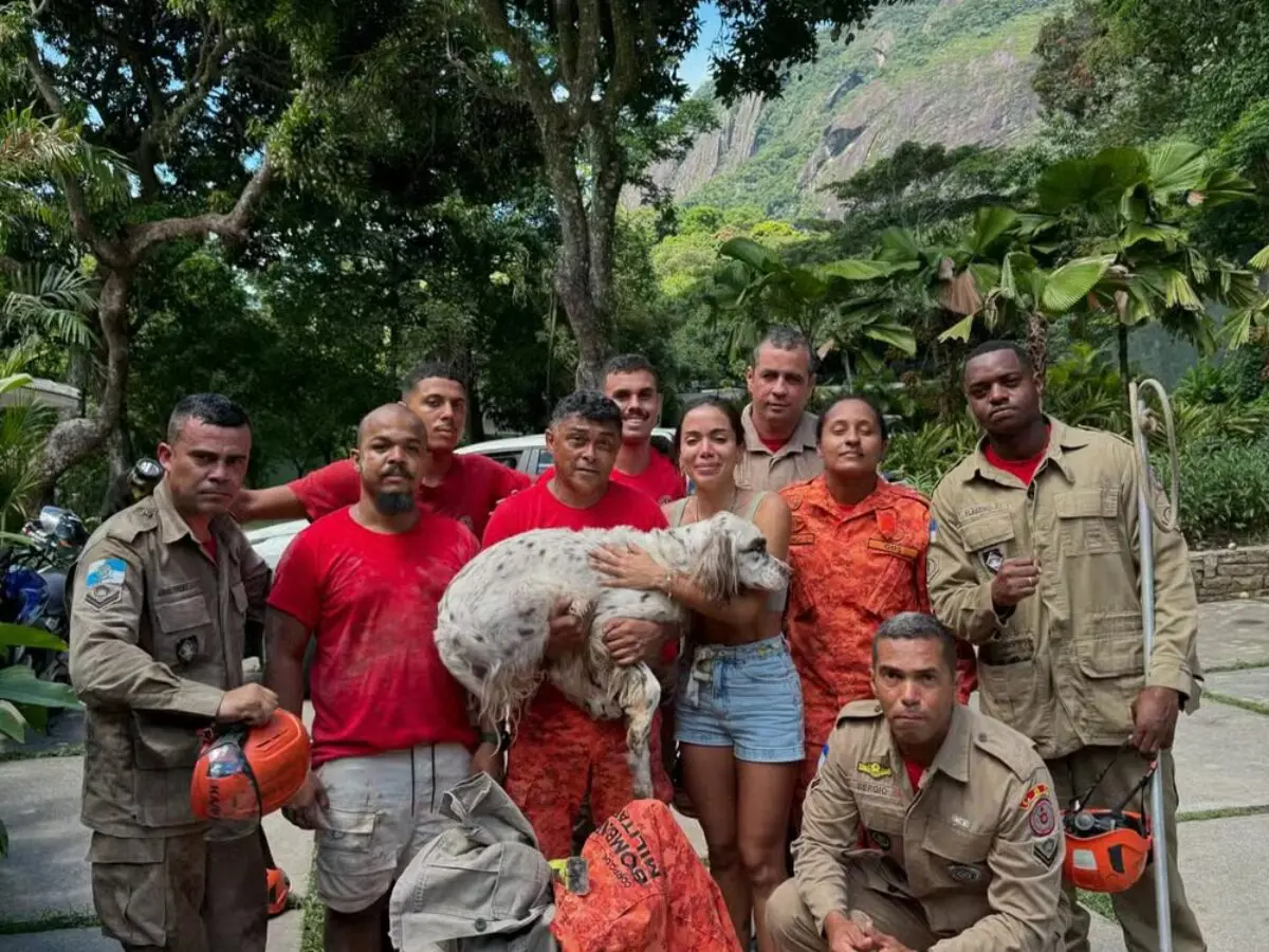 Cachorro de Anitta que sumiu no Natal come porco-espinho 'Acha que tem 7 vidas'