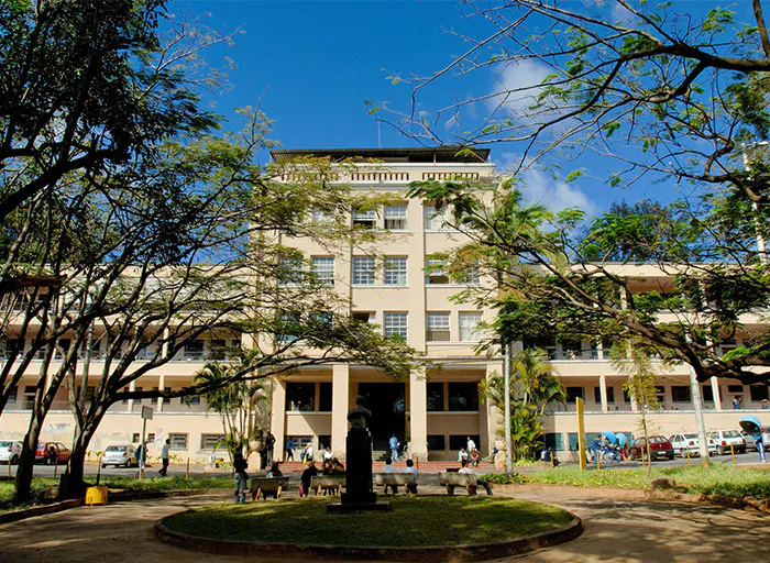 O Hospital da Baleia realiza, em média, 350 transfusões de sangue diariamente