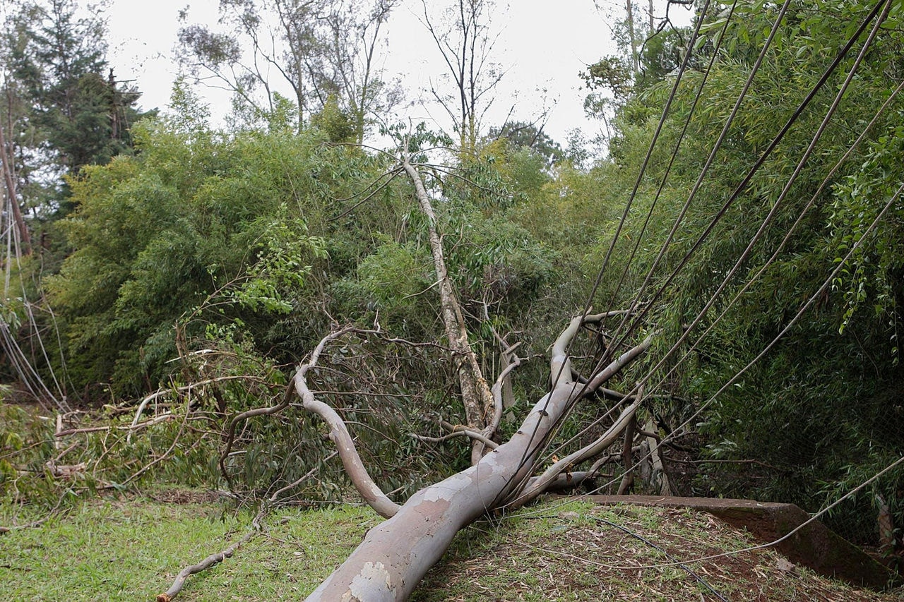 Cidades de MG estarão em alerta de vendaval na próxima quarta