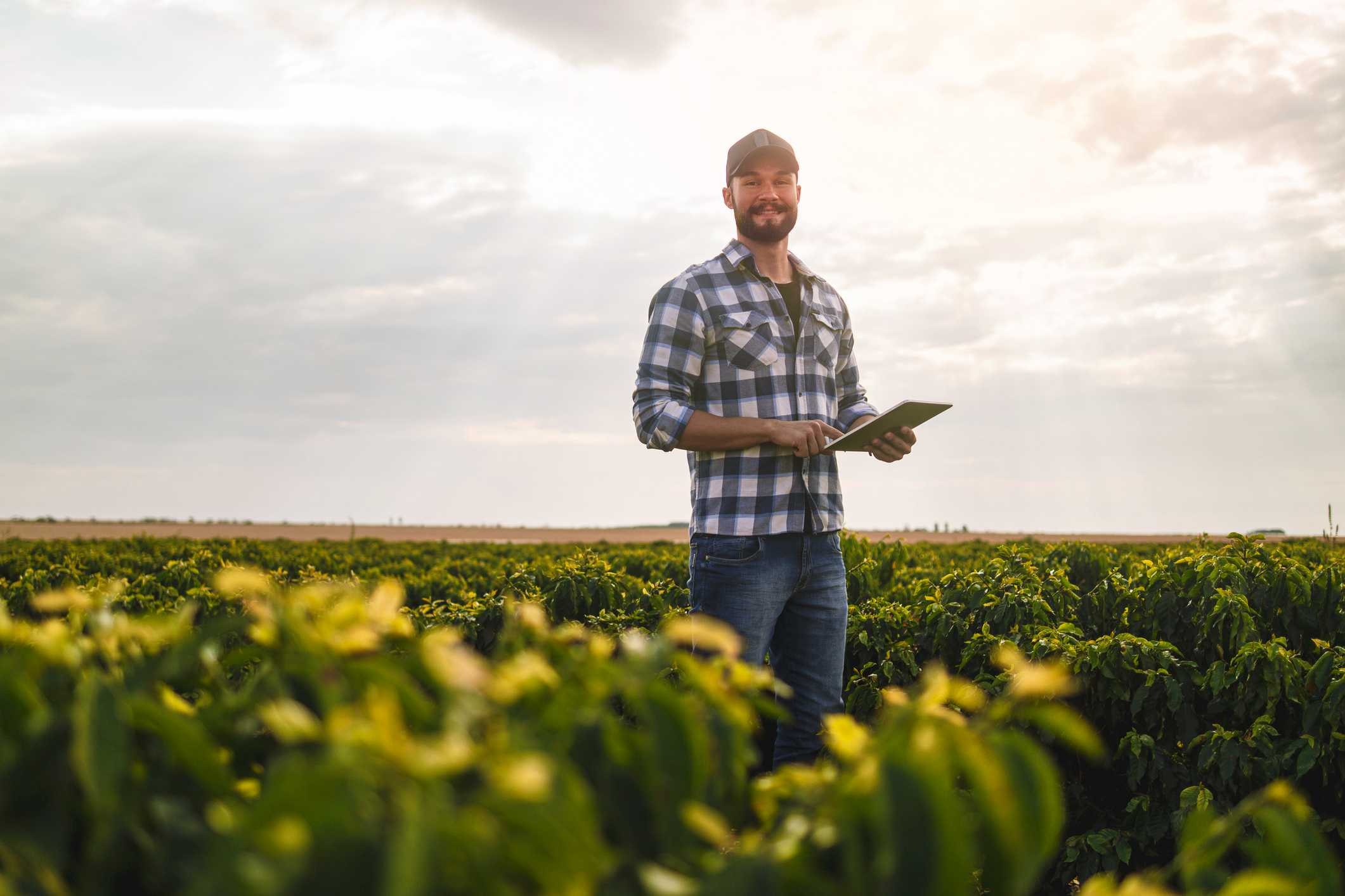 Agricultores de 13 cidades vão receber Garantia-Safra em parcela única neste mês