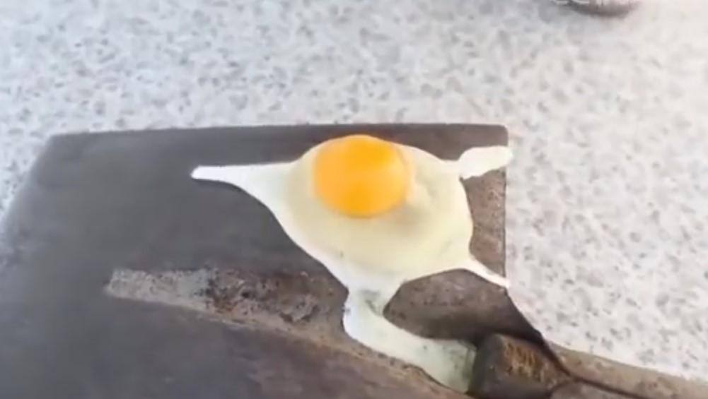 ovo congelado