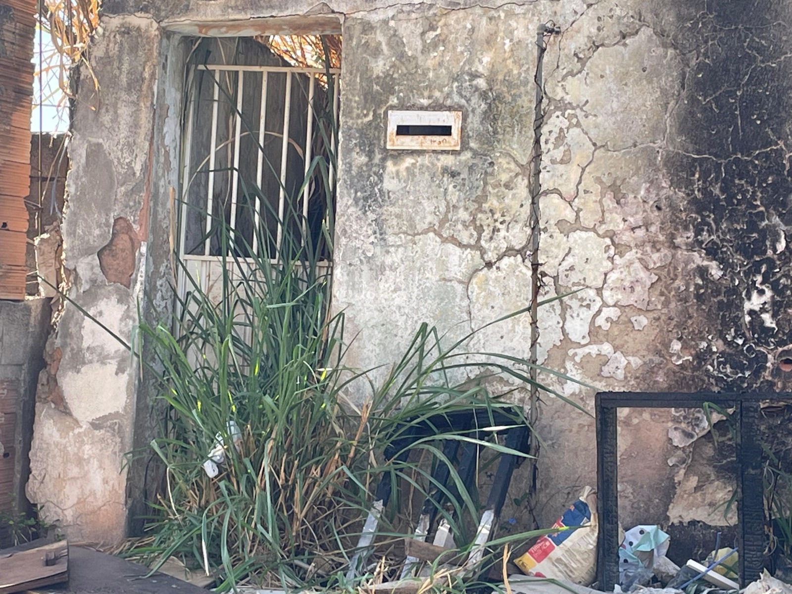 Moradores denunciam que a presença de escorpiões e ratos é constante no local. 