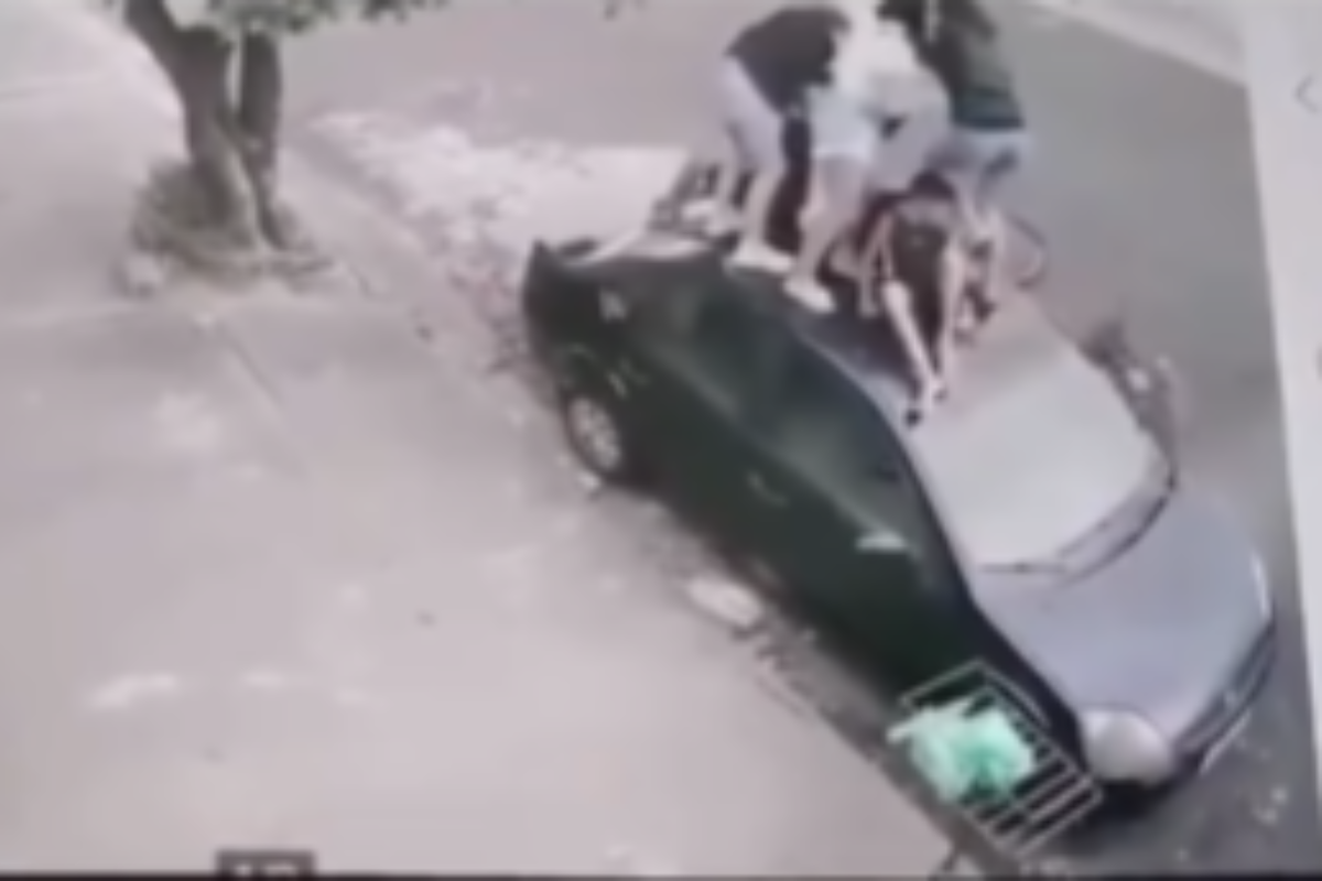 O cão fugiu de uma residência e avançou contra os jovens que estavam na rua