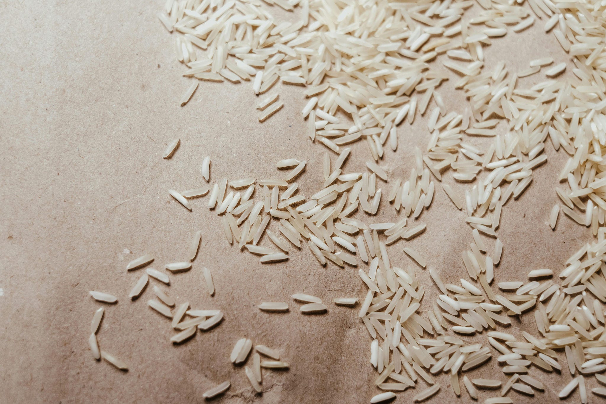 Imagem ilustrativa de arroz