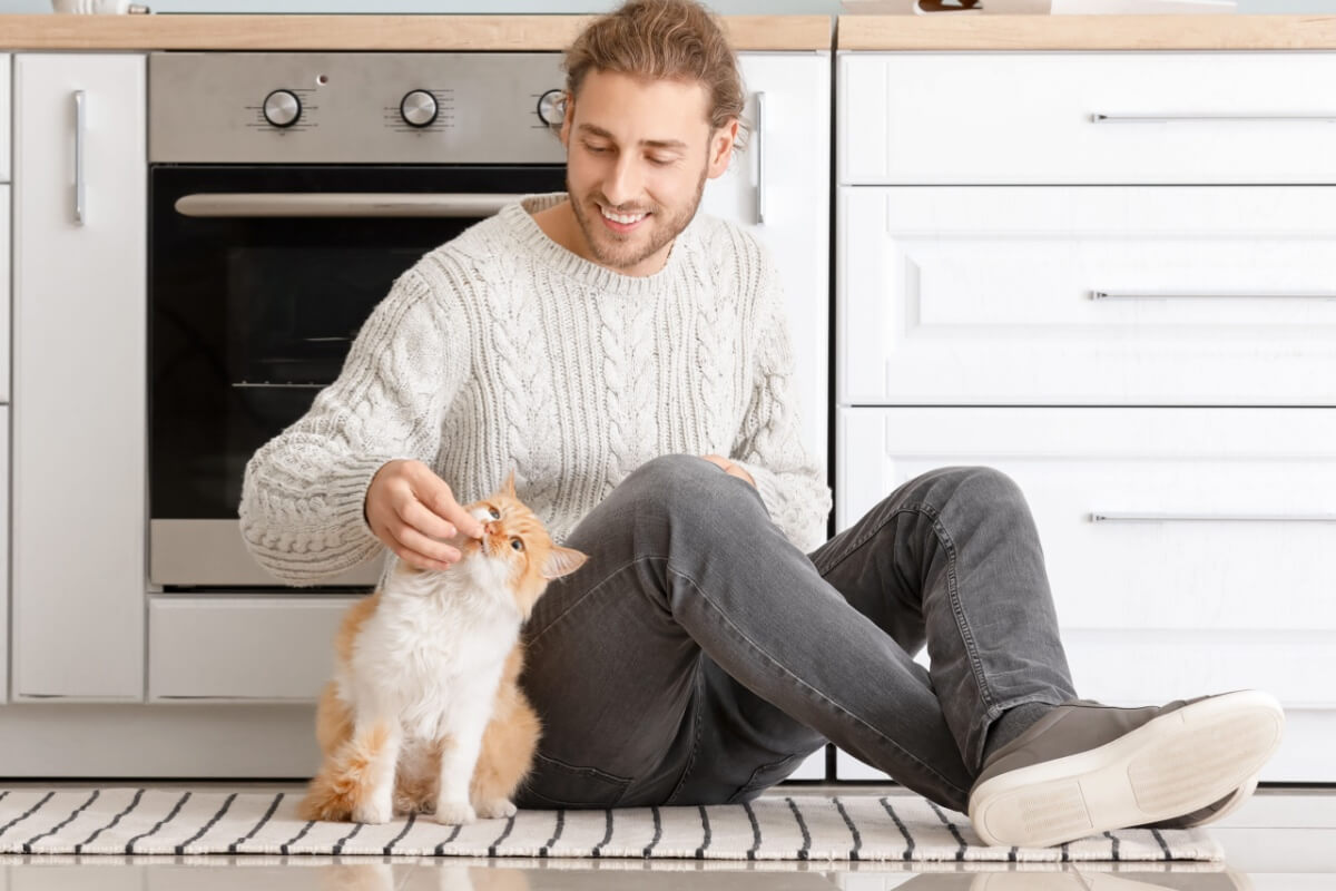 O uso de petiscos é uma das formas mais eficazes de ensinar o gato a vir quando chamado