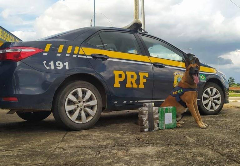 PRF apreende 20kg de droga em lixeira de ônibus em MG