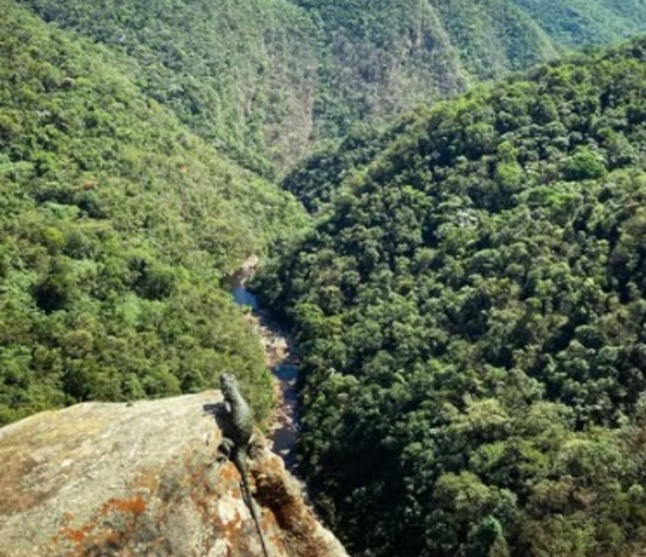 O Parque Nacional da Serra do Gandarela foi criado em 2014 para proteger biomas, ecossistemas e animais ameaçados de extinção