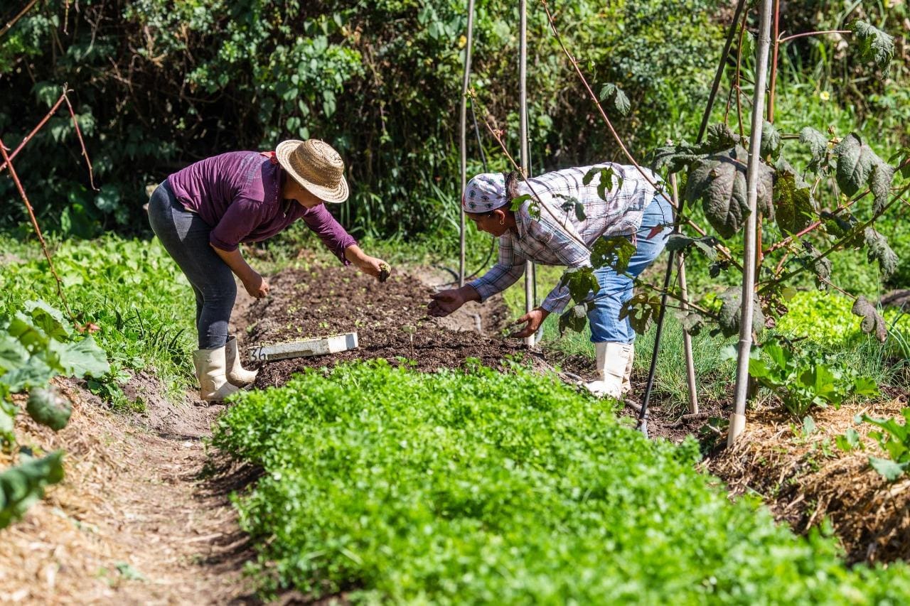Paracatu de Baixo