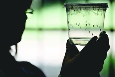 Redução. Estudos sobre o zika e o mosquito Aedes aegypti passaram por cortes, que atingem também pesquisas sobre outras doenças 