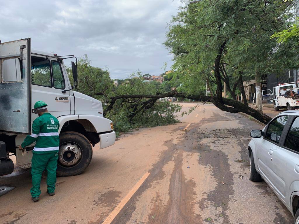Avenida Tereza Cristina