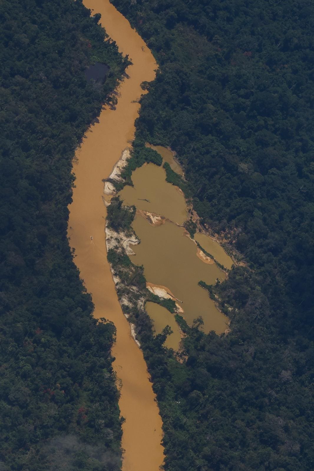 Garimpo ilegal na terra indígena Yanomami, em Roraima, deixa rastro de destruição na Floresta Amazônica e contribui para fome dos povos originários - Foto: Flávio Tavares/O Tempo