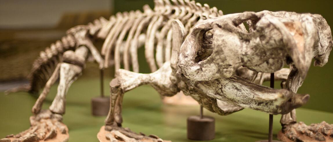 Exposição Demasiado Humano