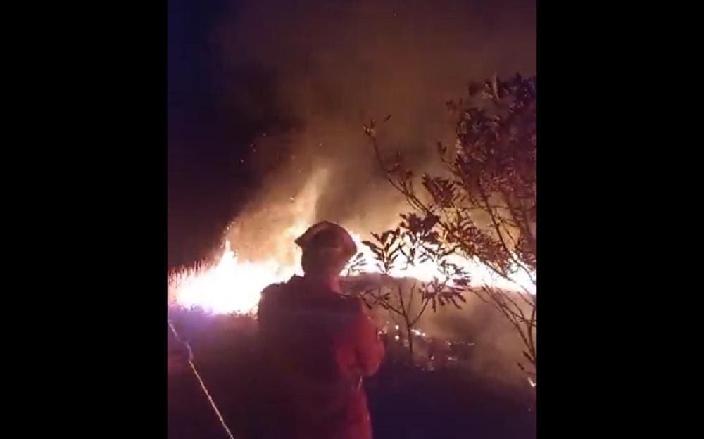 Felizmente, bombeiros conseguiram conter as chamas antes delas atingirem o parque da UFJF
