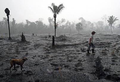 FILES-BRAZIL-AMAZON-DEFORESTATION