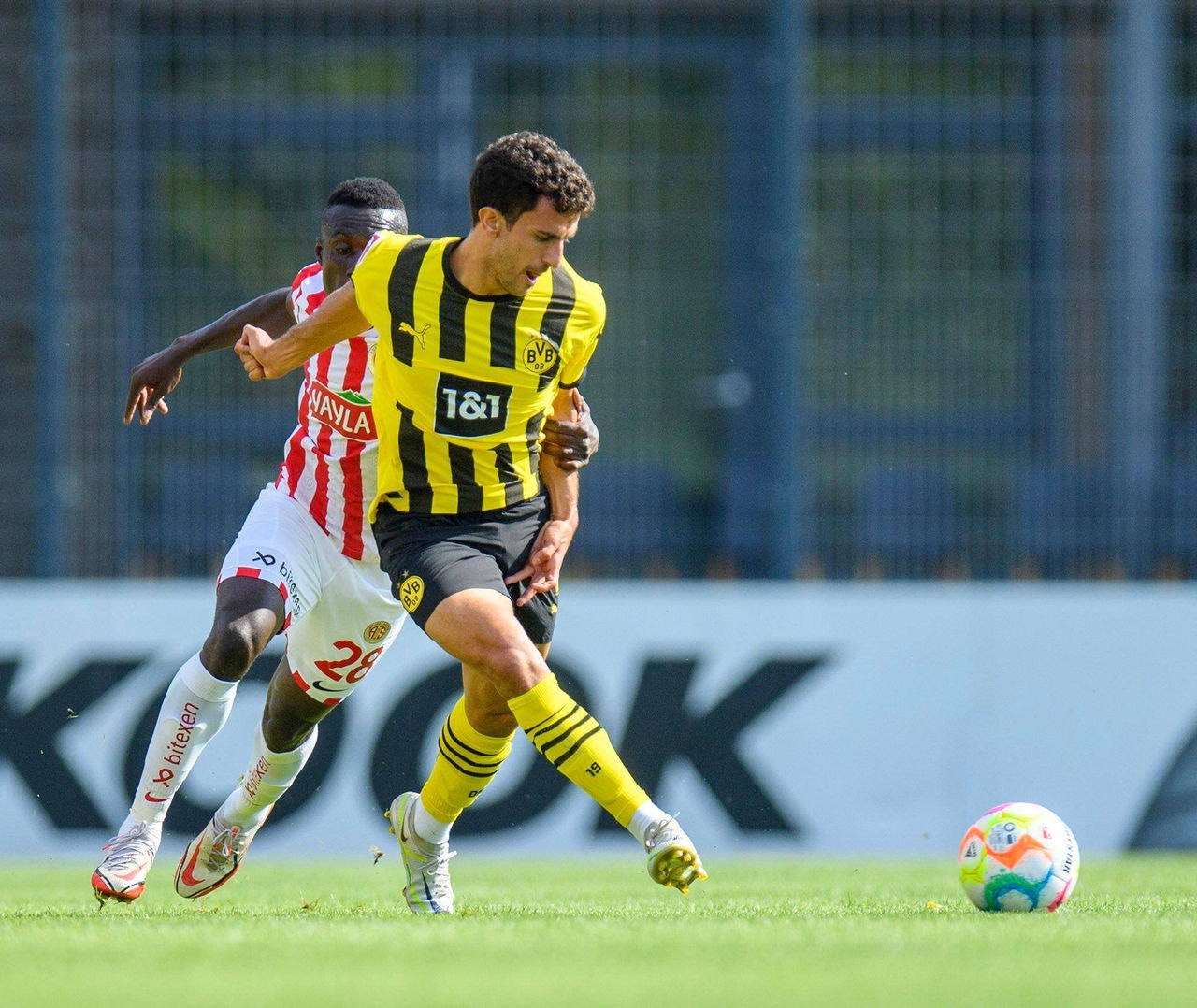 BVB 2jfif