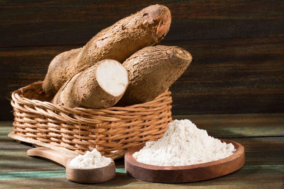 A mandioca é um elemento-chave na culinária indígena de alguns povos no Brasil