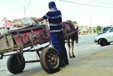 Enquanto carroceiros de Belo Horizonte temem perder emprego, defensores dos animais questionam maus-tratos contra cavalos