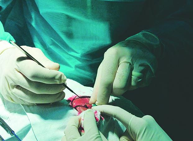 cirurgia