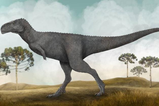 Concepção artística da nova espécie brasileira de dinossauro carnívoro encontrado no Norte de Minas Gerais, batizada de Spectrovenator ragei
