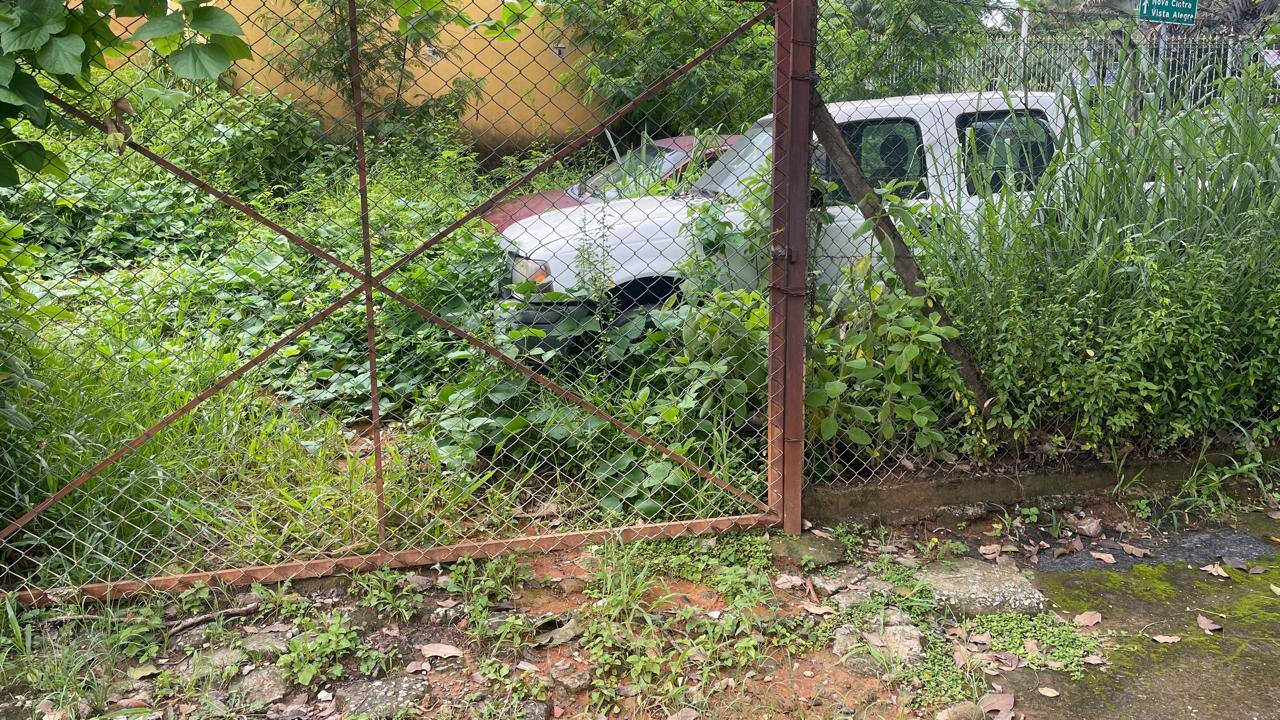 Equipes de saúde estão realizando o mutirão de limpeza em residências e lotes vagos
