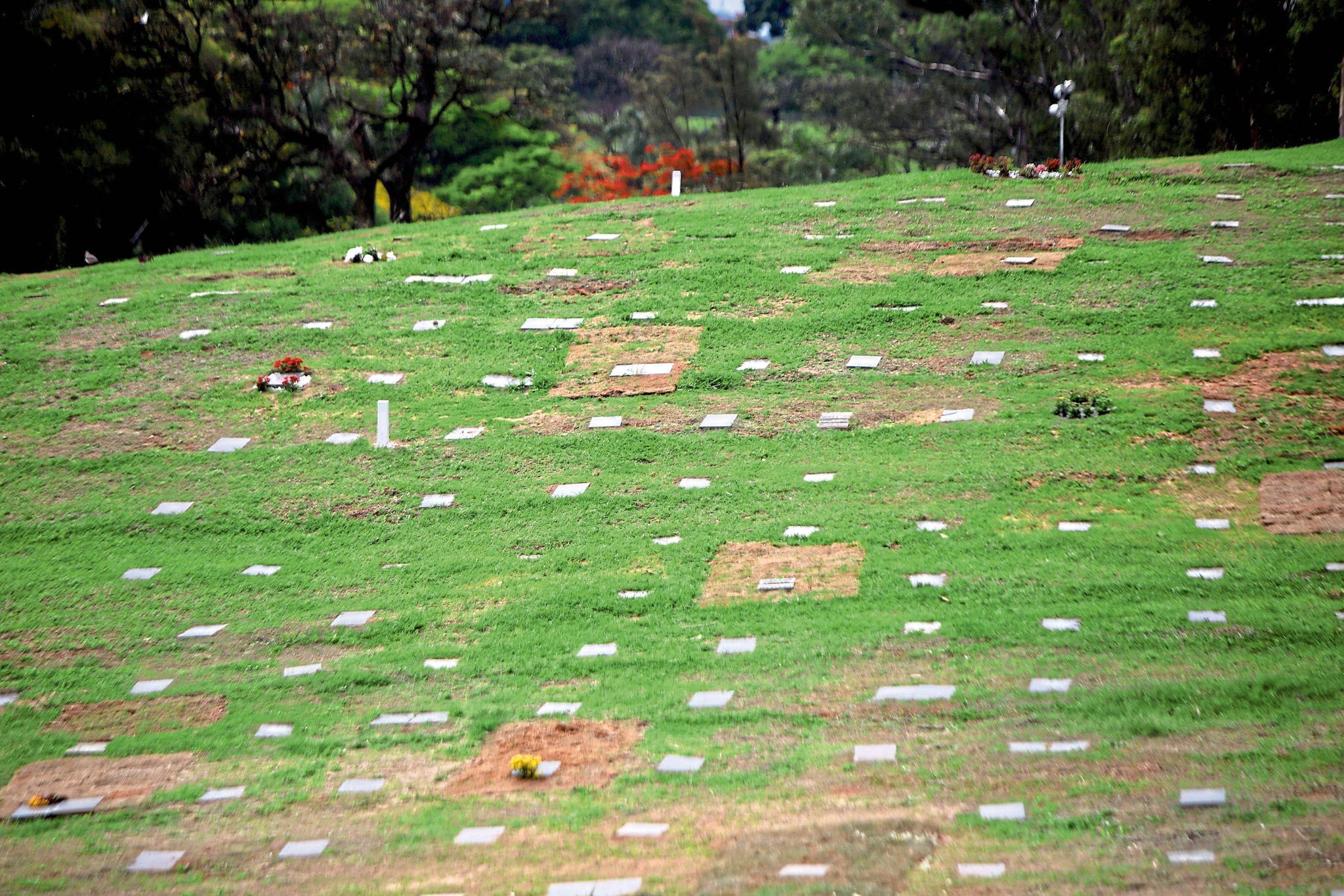Após recorde de enterros em julho, cemitérios públicos da capital mineira têm registrado queda desde agosto