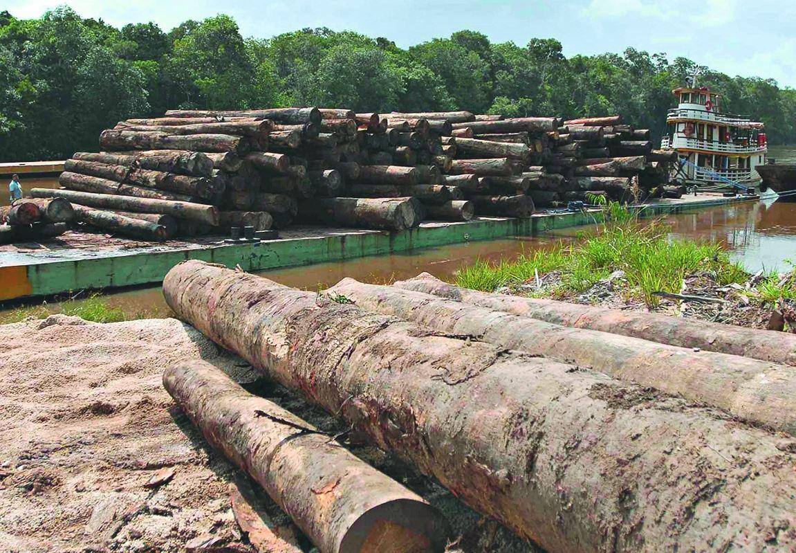 Um dos vilões. O desmatamento desenfreado da Amazônia é a maior causa da destruição de hábitat animais e de ecossistemas