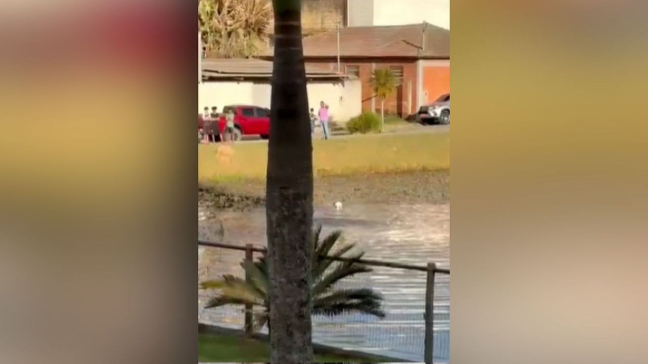 Vítima morreu afogada em lago